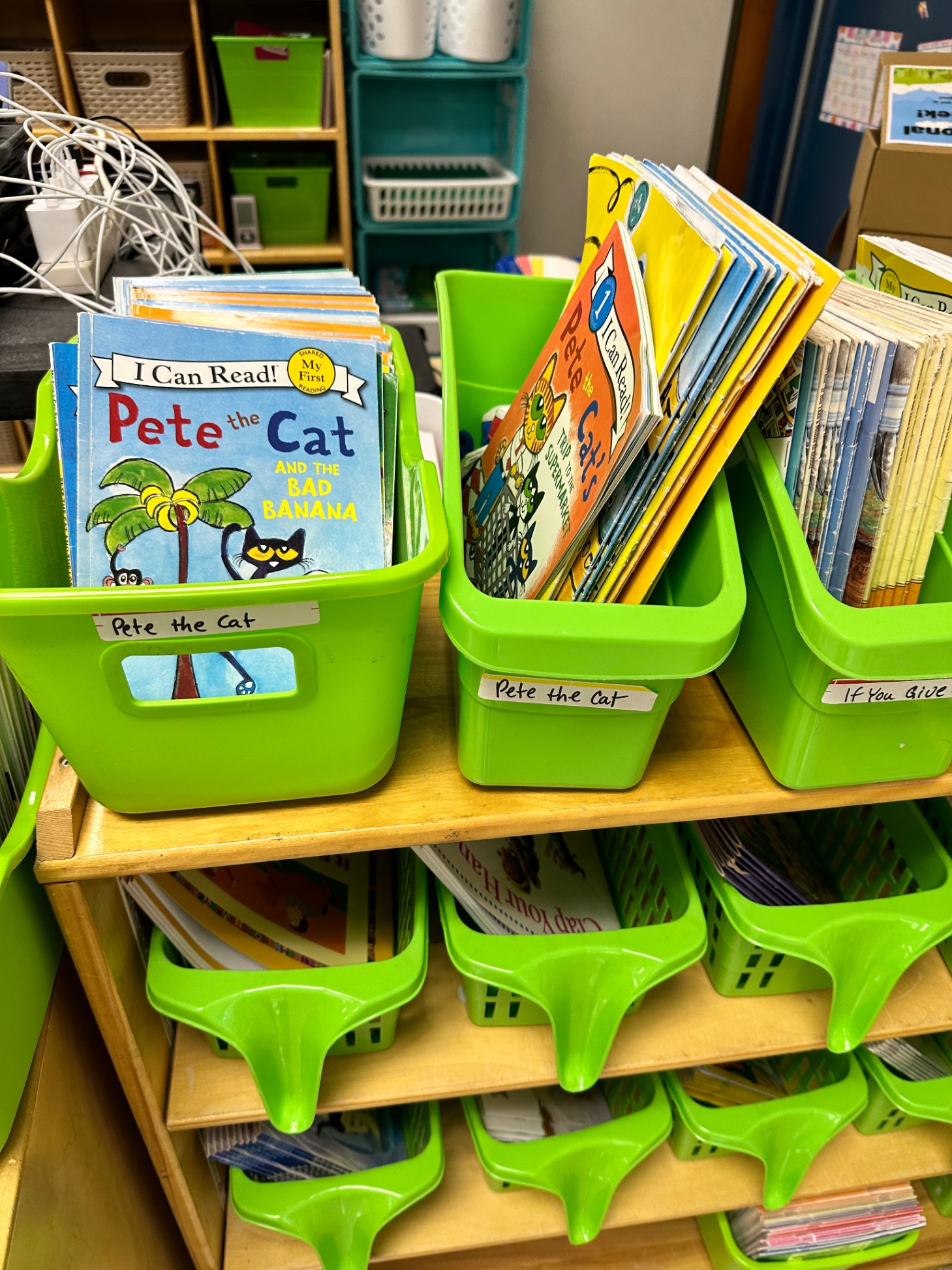 Independent Reading Book bins